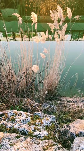 Magical moments at sunset in the city park. Watching the fascinating reflections in the lake waters, you