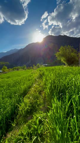 Incredible 4K nature video of expansive green meadows beneath a cloud-streaked sky. The beauty of the natural world is highlighted through vibrant colors and gentle aerial motion.