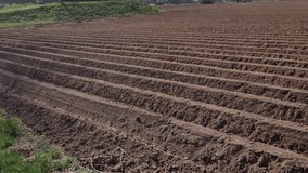 farmers protect cultivated vegetables and potatoes from spring frosts by creating mounds and plowing furrows. it is watered with sprinklers. large diameter metal pipe from the river - Powered by Shutterstock - Get 15% off with code: PIKWIZARD15