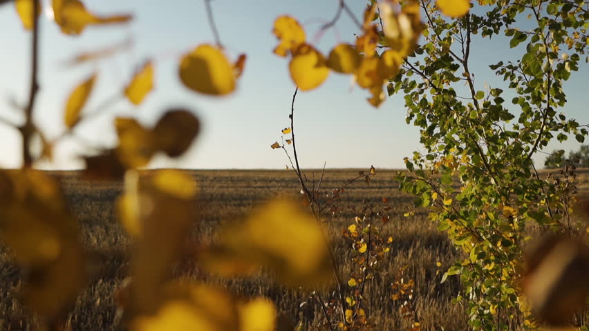 View Of Farmland In Sunset, Red Deer County, Alberta, Canada - Wide Shot
