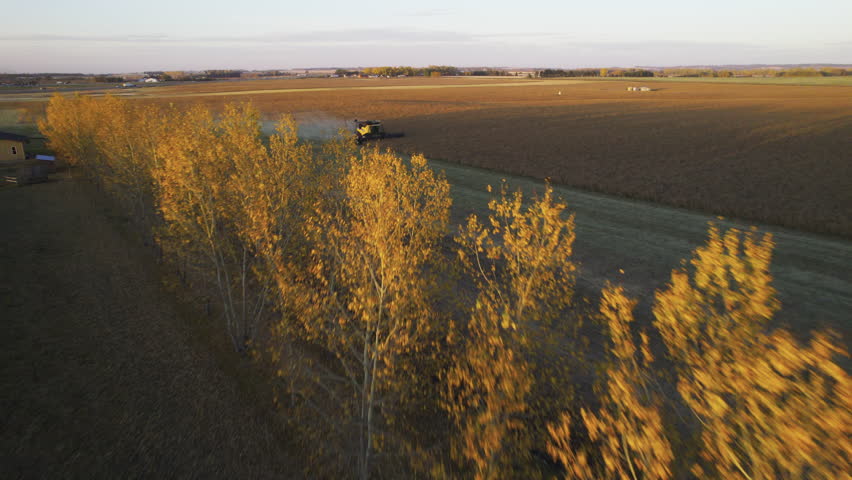 Drone Flyby On Combine Harvester Harvesting Wheat On Golden Field In Red Deer County, Alberta, Canada.