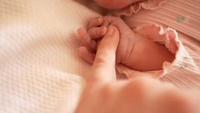 Newborn Baby Holding Parent's Finger on First Day - Powered by Shutterstock - Get 15% off with code: PIKWIZARD15