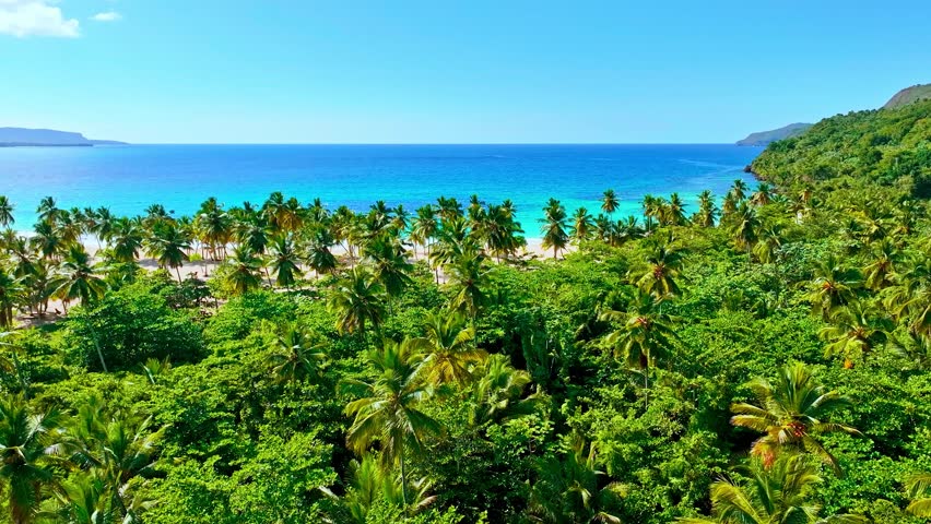 Warm sunny day on wild sandy beach with colorful palm trees. Sea and blue clear sky. Tropical island for vacation travel. Indian coast with natural landscape. Beautiful seascape postcard.
