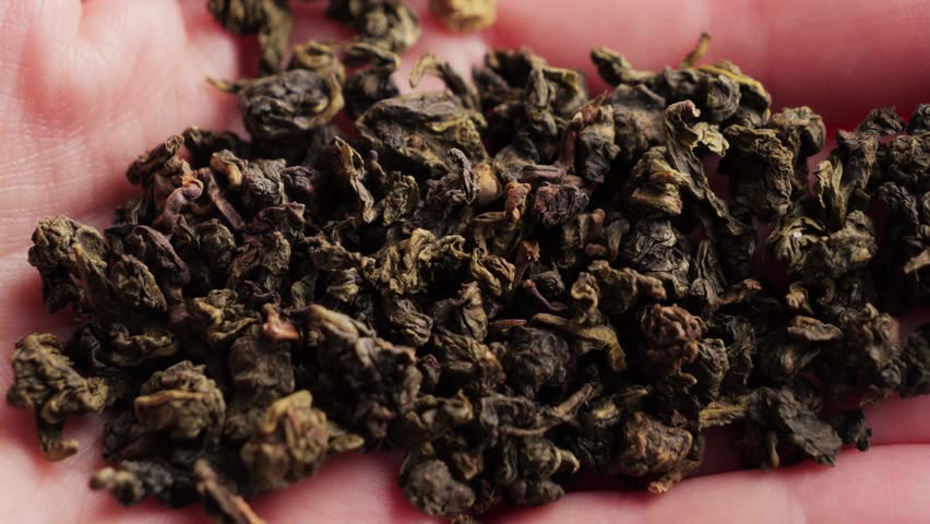 Hand picks tea leaves. Blue oolong dried tea leaf. Oolong tea health benefits, weight loss, boosts immunity, boost brain function. High quality 4k footage