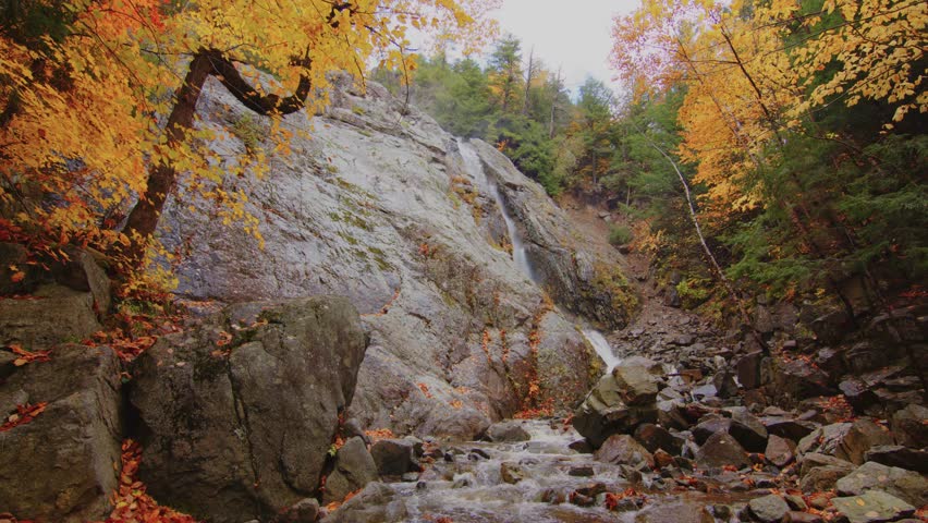 Stunning aerial view in 4K showing a peaceful creek meandering through vibrant fall foliage in Roaring Brook Falls, Adirondacks. A perfect visual of seasonal transition in the forest.