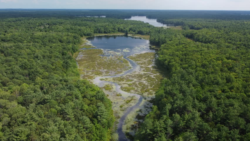 Peaceful aerial view of Ontario lake and forest, serene mood with winding waterway