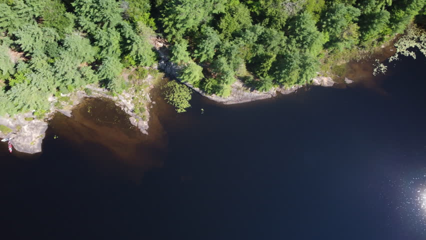 Forested lake shoreline, kayaker resting in nature, ontario, canada, aerial view