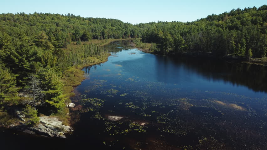 Tranquil forest lake view in Ontario, Canada, seen from an aerial perspective