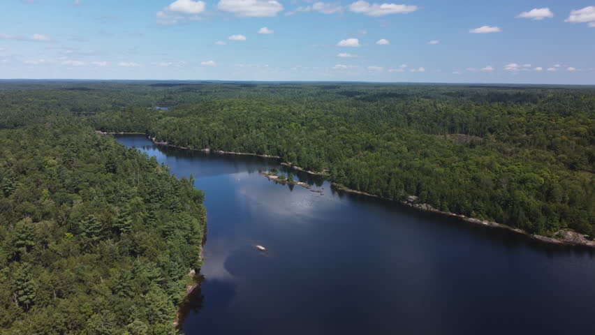 Calm ontario lake winding through lush forest under blue sky, aerial view