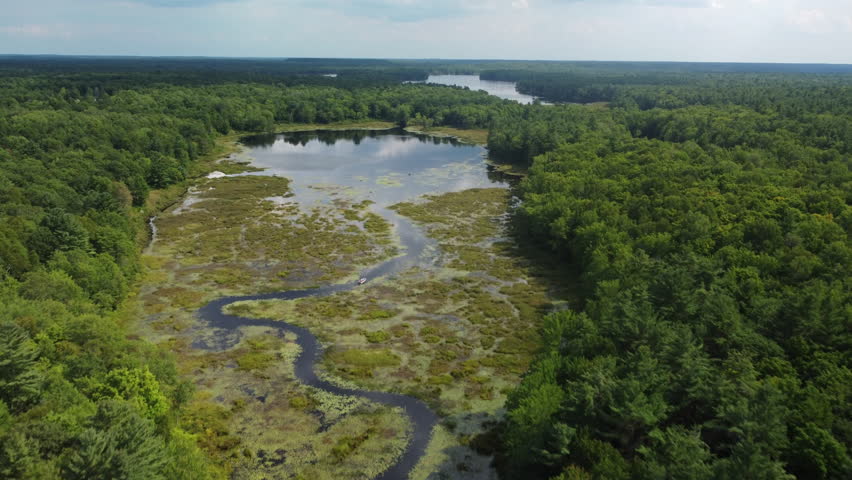 Calm lake and wetlands in ontario forest, peaceful and remote summer vibe, aerial view