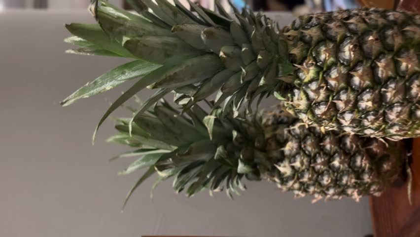 A small, exotic mini pineapple (Ananas nanus) featured as a unique decoration or fresh fruit offering on a luxury hotel buffet display.