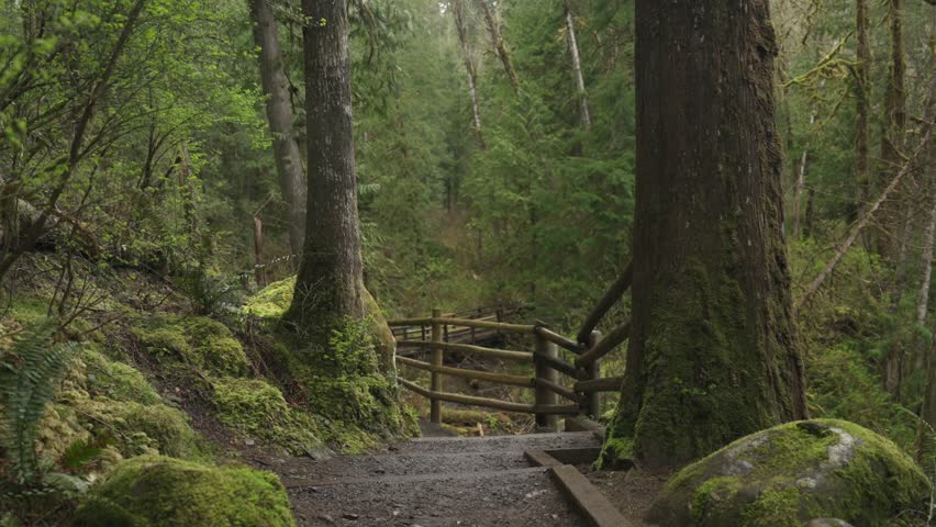 Walking along a forest hiking trail with a wooden fence on the side in Wallace Falls State Park, Washington. Surrounded by lush greenery and peaceful natural scenery.