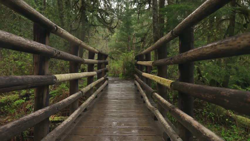 Walking across a wooden bridge on a hiking trail surrounded by lush forest in Wallace Falls State Park, Washington. Peaceful nature scene with trees and a wet path after rain.