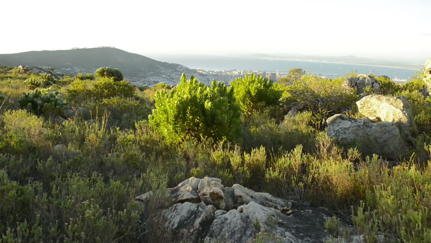 Table mountain view