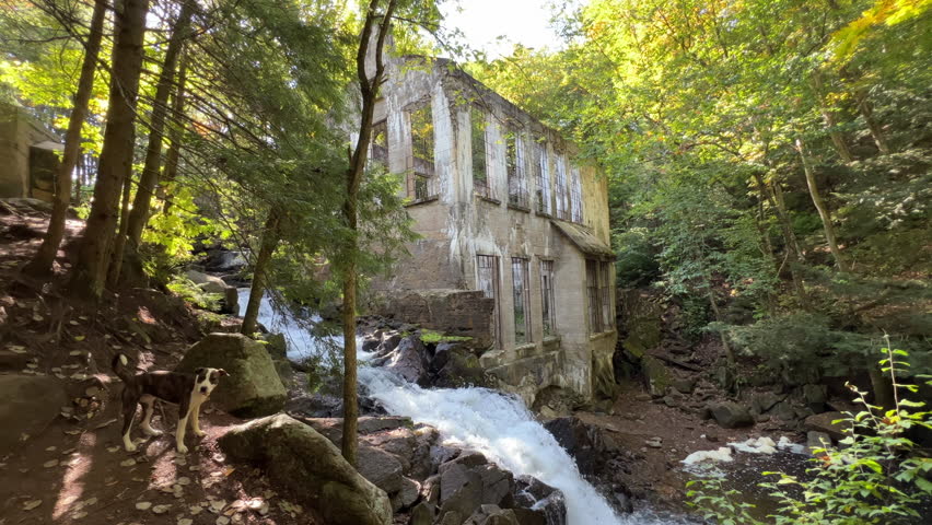 Gatineau old mill with dog in front of it
