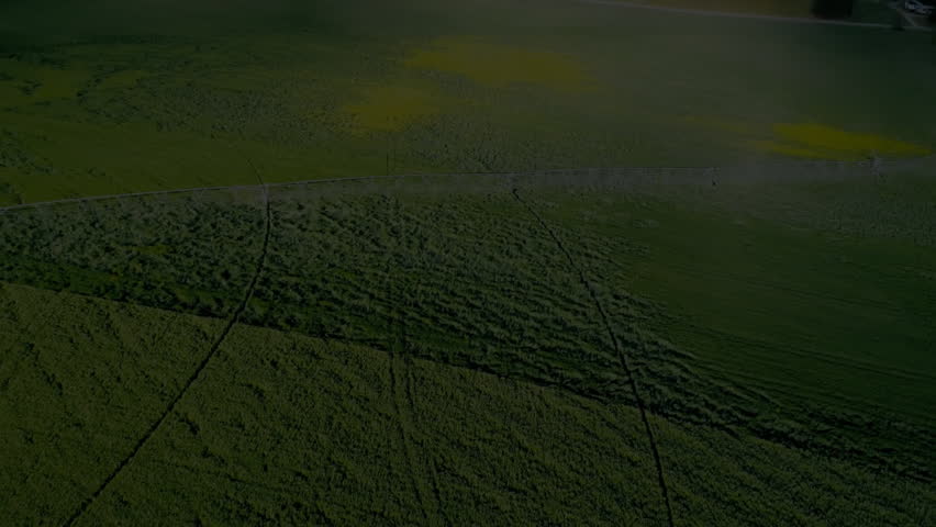 Animation of words develop and marketing over aerial view of green landscape. typography, communication, innovation, technology, creativity, advertising
