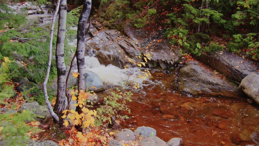 Tranquil 4K video of a gently flowing creek during the fall season at Roaring Brook Falls in the Adirondacks, NY, with surrounding trees displaying peak autumn color.