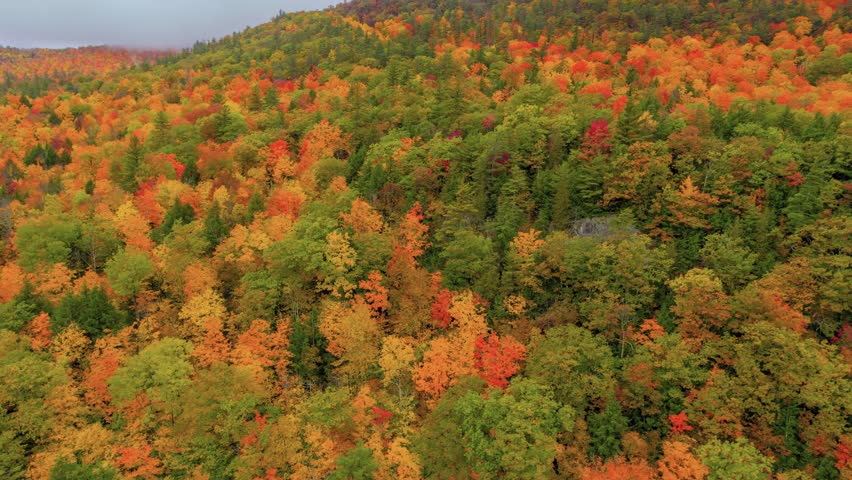 This stunning 4K drone footage captures the colorful autumn forest at Roaring Brook Falls in the Adirondacks, New York, revealing vibrant foliage and natural beauty from above.