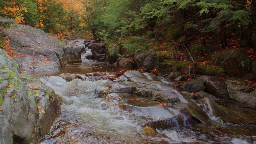 Enjoy a mesmerizing 4K drone perspective of a crystal-clear mountain creek surrounded by a forest bursting with fall colors in Roaring Brook Falls area, Adirondacks.