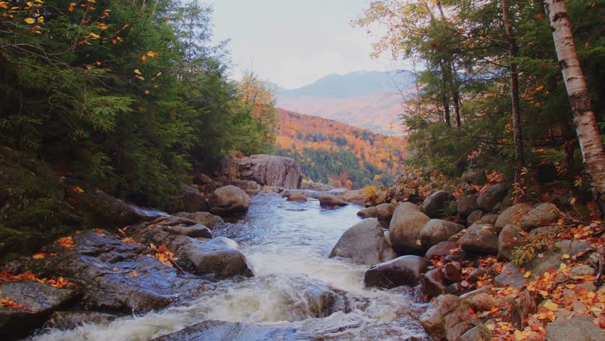 This beautiful drone video shows a peaceful mountain creek flowing through golden autumn trees in the Roaring Brook Falls region of Adirondacks, NY, in stunning 4K clarity.