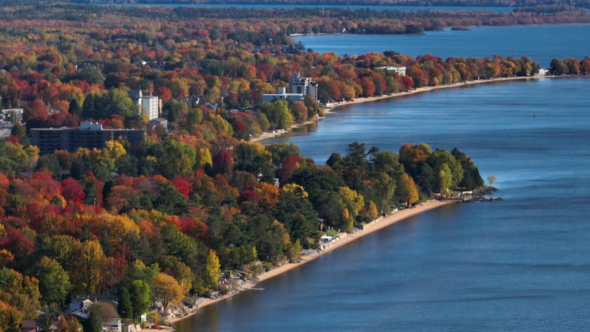 North bay autumn leaves aerial