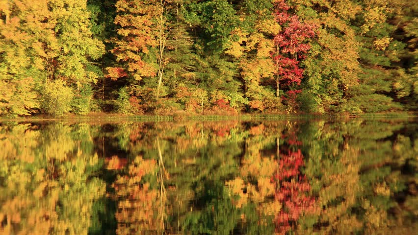 This peaceful footage captures a serene autumn landscape with vibrant fall foliage reflected in a calm lake at Planting Fields Arboretum, Oyster Bay, NY, showcasing nature's beauty during fall.
