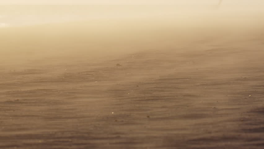 Shutterstock Video