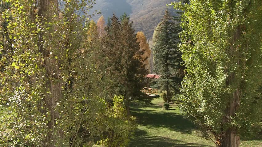A serene view through autumn trees reveals a charming cabin nestled in a forest clearing. The scene evokes tranquility and the beauty of nature's changing seasons.