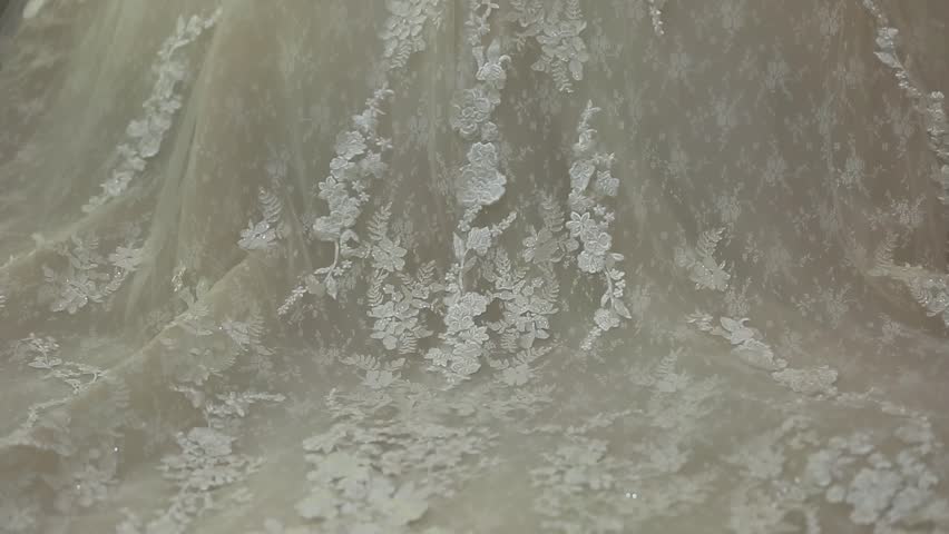 A bride in a beautiful wedding dress with a lace-up corset back stands before a window. The intricate details of the gown are highlighted.