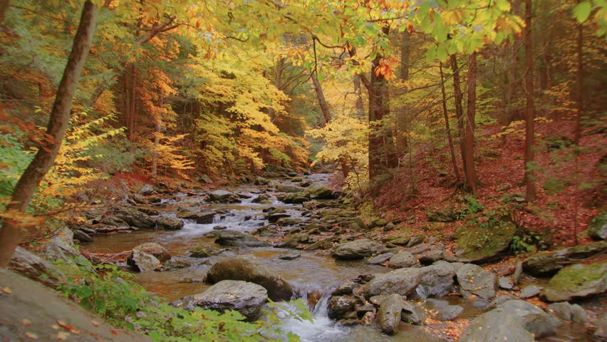 This footage captures the stunning view of Bash Bish Falls, the highest waterfall in Massachusetts, located in Bash Bish Falls State Park during the fall season.