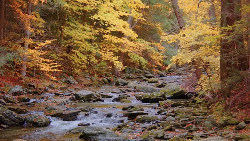 This footage showcases the breathtaking Bash Bish Falls, the tallest waterfall in Massachusetts, captured in the autumn season within Bash Bish Falls State Park.