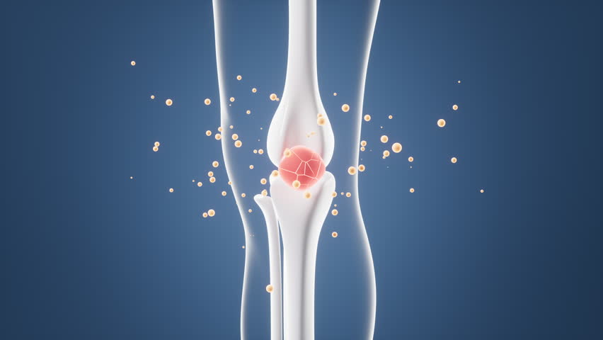 Human kneecap model and drug absorption, Biological and medical concepts, 3d rendering. Motion Graphic.