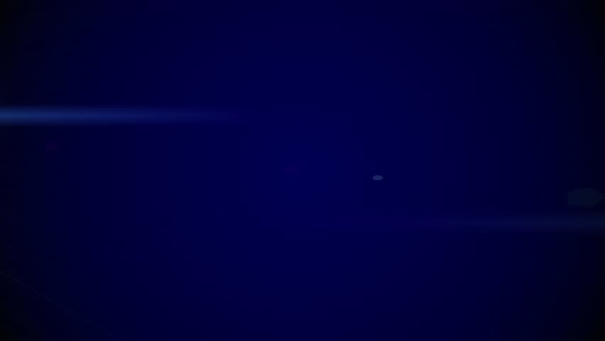 Shutterstock Video