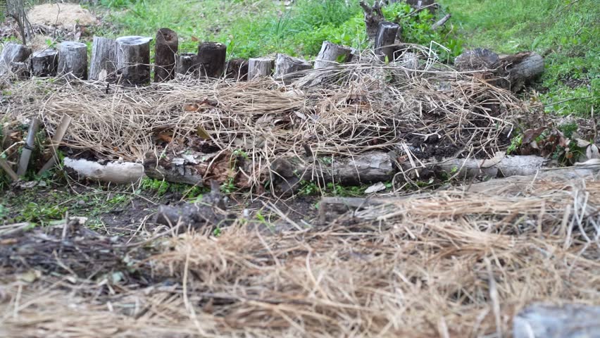 Image of people having fun gardening
