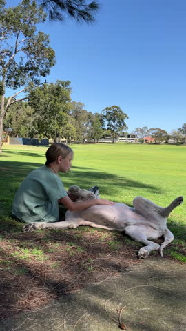 Vertical shot of a child interacts with a dog lying on its back in a park, both enjoying a warm and sunny afternoon in nature.