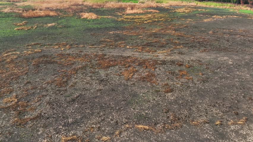 Patchwork of burnt fields stretches into the horizon, showcasing a controversial agricultural method aimed at soil renewal.
