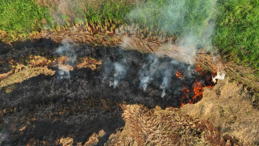 Overhead view of controlled agricultural burning, a practice used to manage land and crops, with smoke plumes painting the sky.
