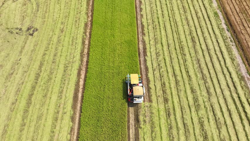 This drone shot showcases the vast, orderly rows of crops, capturing the industrious spirit of rural farming and the productivity of land management in agricultural areas.
