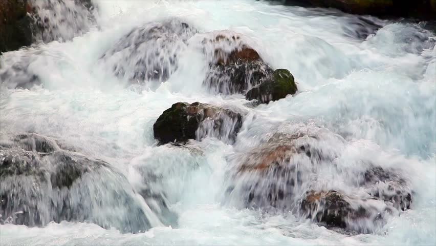 Shutterstock Video