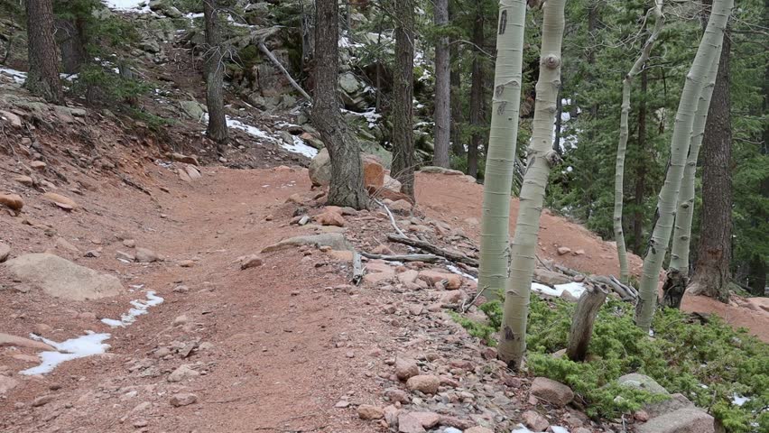One male hiker with a backpack walking down a steep trail and curved trail with snow on the ground. Filmed in Staunton State Park during the spring.