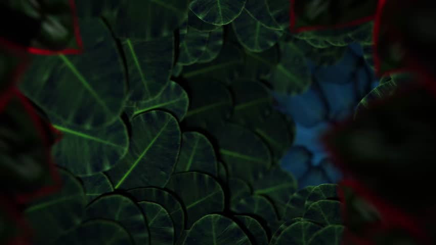 Mystical Leaf and Feather Passage Loop - Powered by Shutterstock - Get 15% off with code: PIKWIZARD15