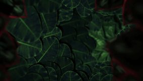 Forest Leaves Tunnel - Seamless Loop - Powered by Shutterstock - Get 15% off with code: PIKWIZARD15