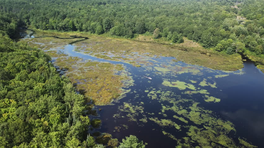 Peaceful ontario lake winding through lush summer forest, aerial view