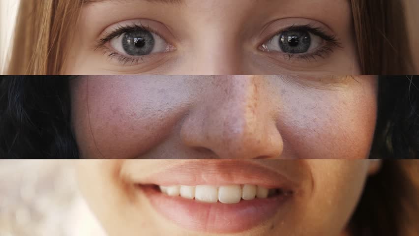 Shutterstock Video