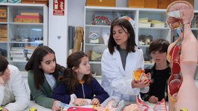 Female teacher showing anatomical model of human body to curious elementary school students during biology class - Powered by Shutterstock - Get 15% off with code: PIKWIZARD15