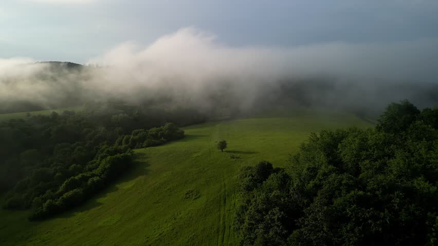 drone, forest, clouds, aerial, treetops, fog, mist, overcast, nature, landscape, environment, weather, atmospheric, above clouds, cinematic, travel, documentary, nature film, religious, film scene