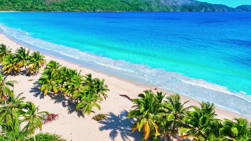 Beautiful wild palm beach with white sand and blue waves on the ocean shore. Unique beauty of blue lagoon on tropical island Samana, Dominican Republic. Beach with beautiful coastline. Aerial view.