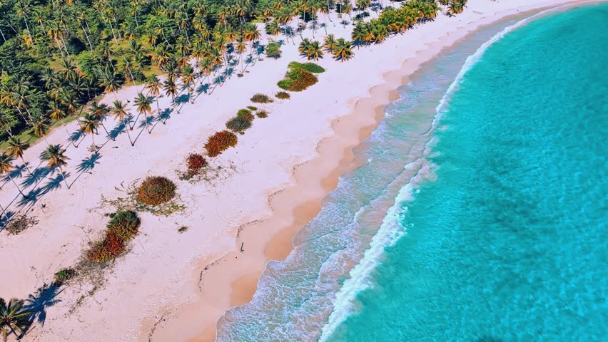 Top view of sandy palm beach. Tropical coastline with pink sand, turquoise sea and palm trees in the morning sunlight. Drone view of picturesque nature of Dominican Republic. Video is toned.