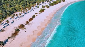 Top view of sandy palm beach. Tropical coastline with pink sand, turquoise sea and palm trees in the morning sunlight. Drone view of picturesque nature of Dominican Republic. Video is toned. - Powered by Shutterstock - Get 15% off with code: PIKWIZARD15