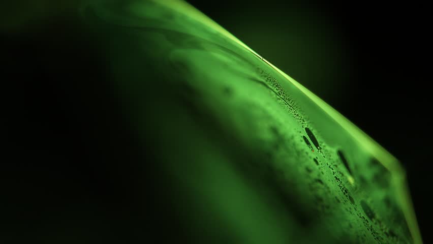 Green liquid surface on dark background, colourful abstract, surrealistic art, line of light, black background, beautiful science